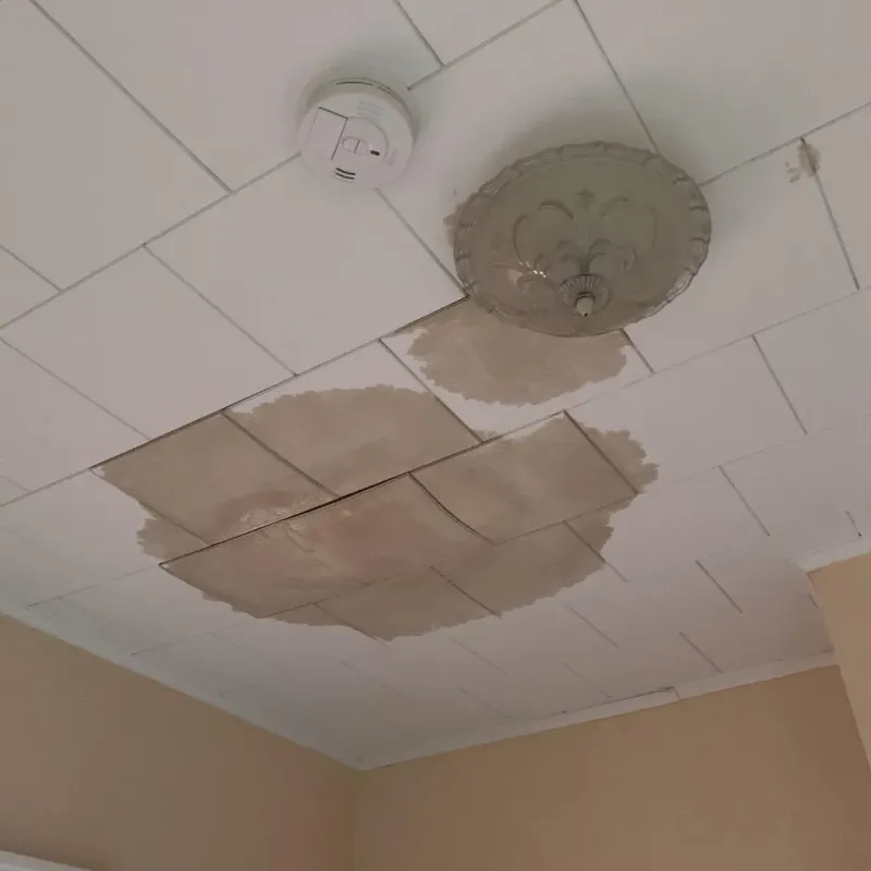 Ceiling Water Damage Repair in Franklin County, IA
