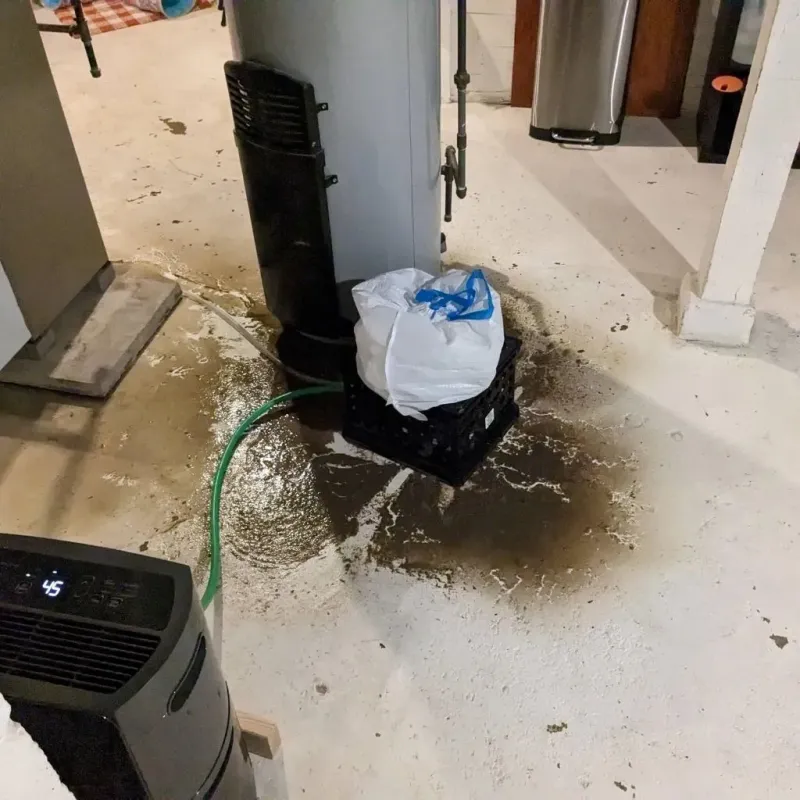 Sewage Backup Cleanup Service in Franklin County, IA